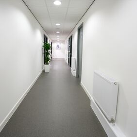 Grey stone effect safety flooring in a corridor with white walls and floor plants 