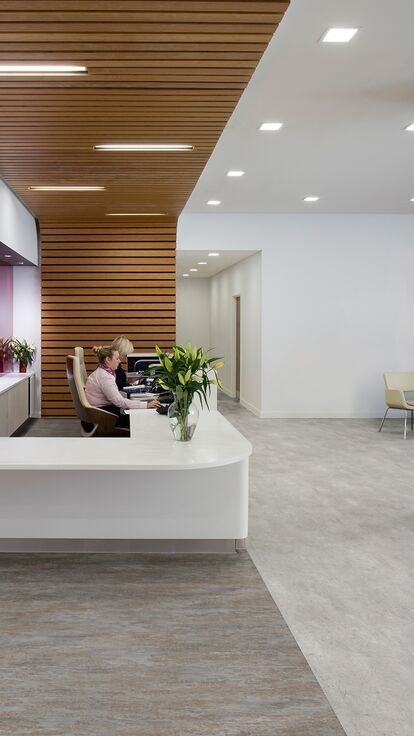 Polyflor Australia Contrete Vinyl Flooring