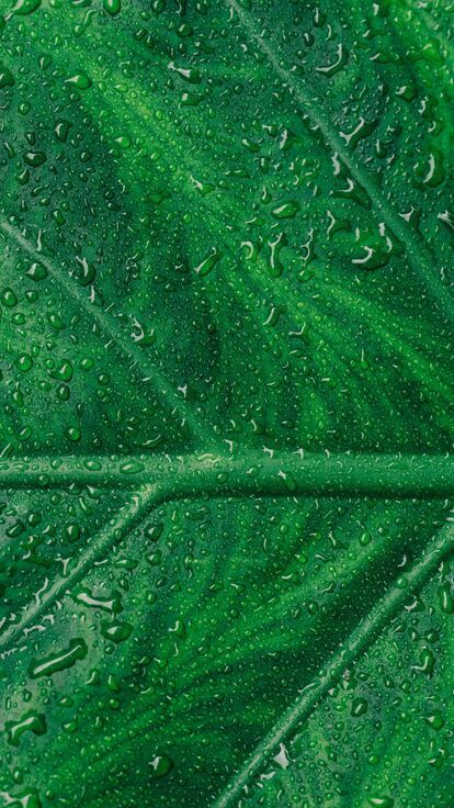 Polyflor Sustainability 