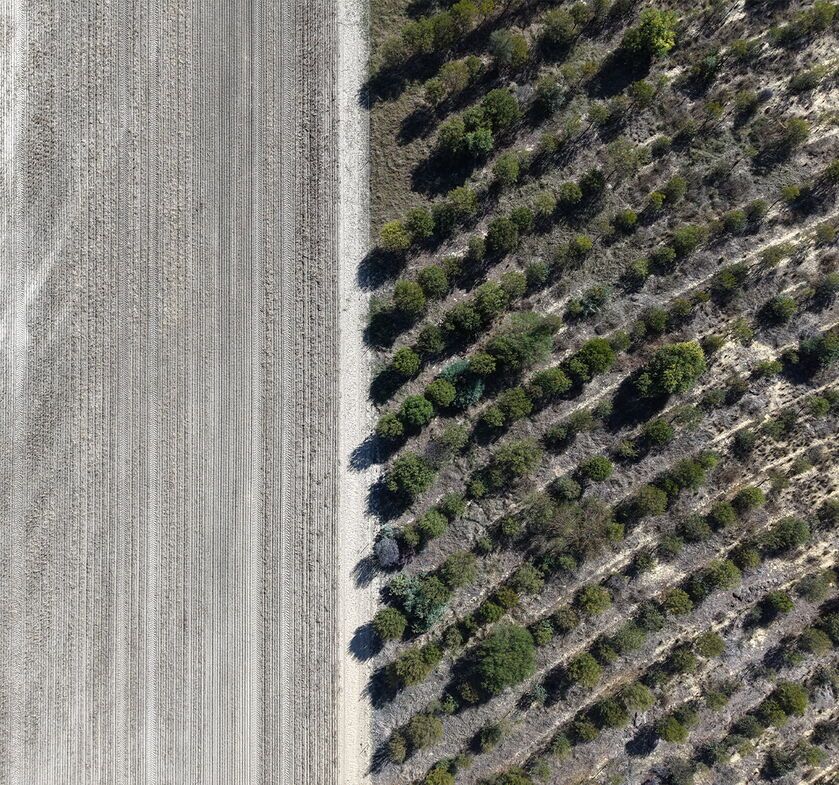 Regenerate Australia