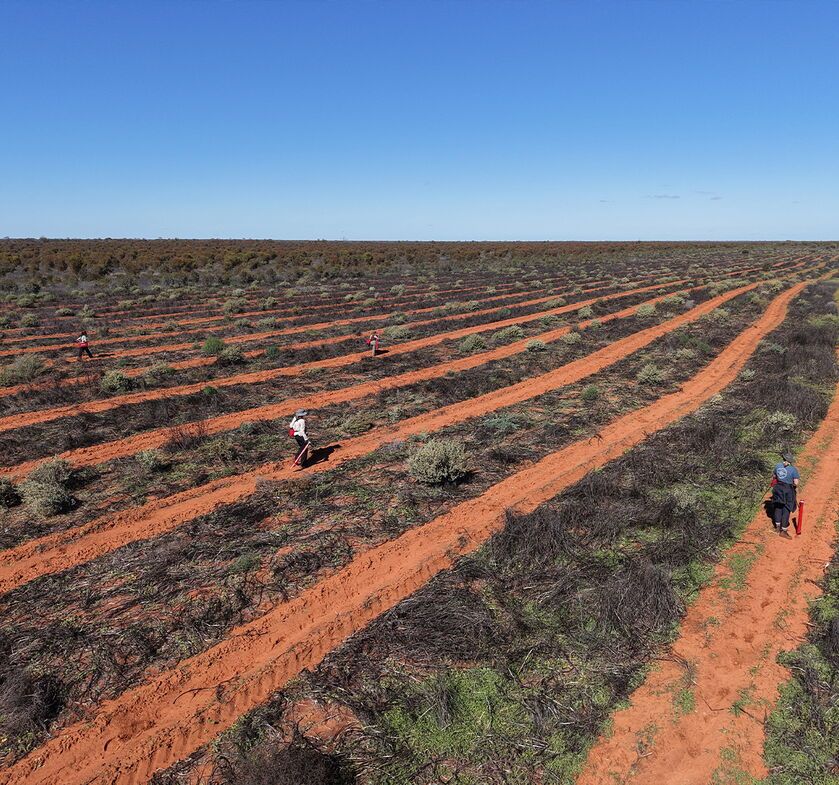 Regenerate Australia