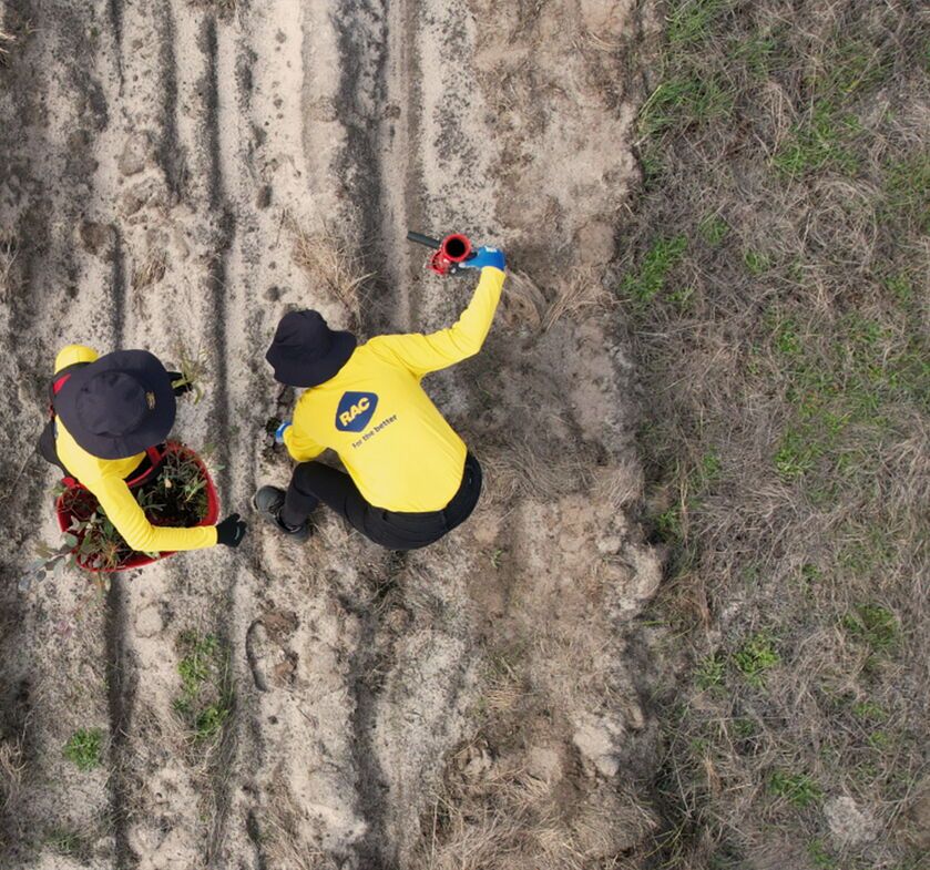 Regenerate Australia