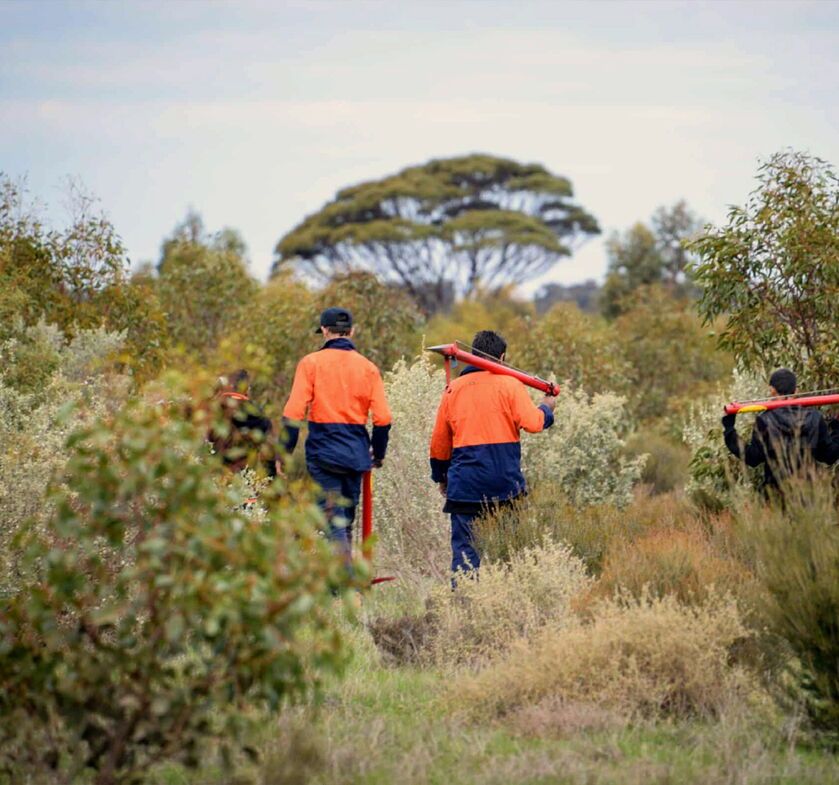 Regenerate Australia