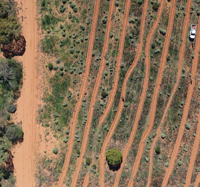 Regenerate Australia