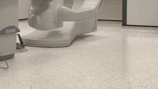 Polyflor Vinyl Flooring