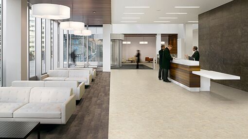 Polyflor Vinyl Flooring