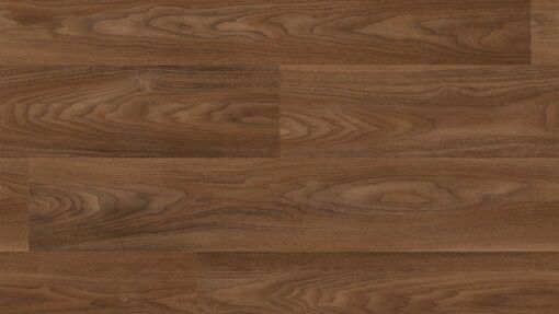 Forest fx PUR Acoustic