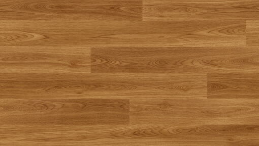 Forest fx PUR Acoustic