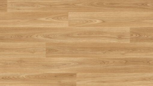 Forest fx PUR Acoustic