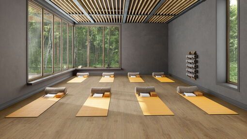 Superplank