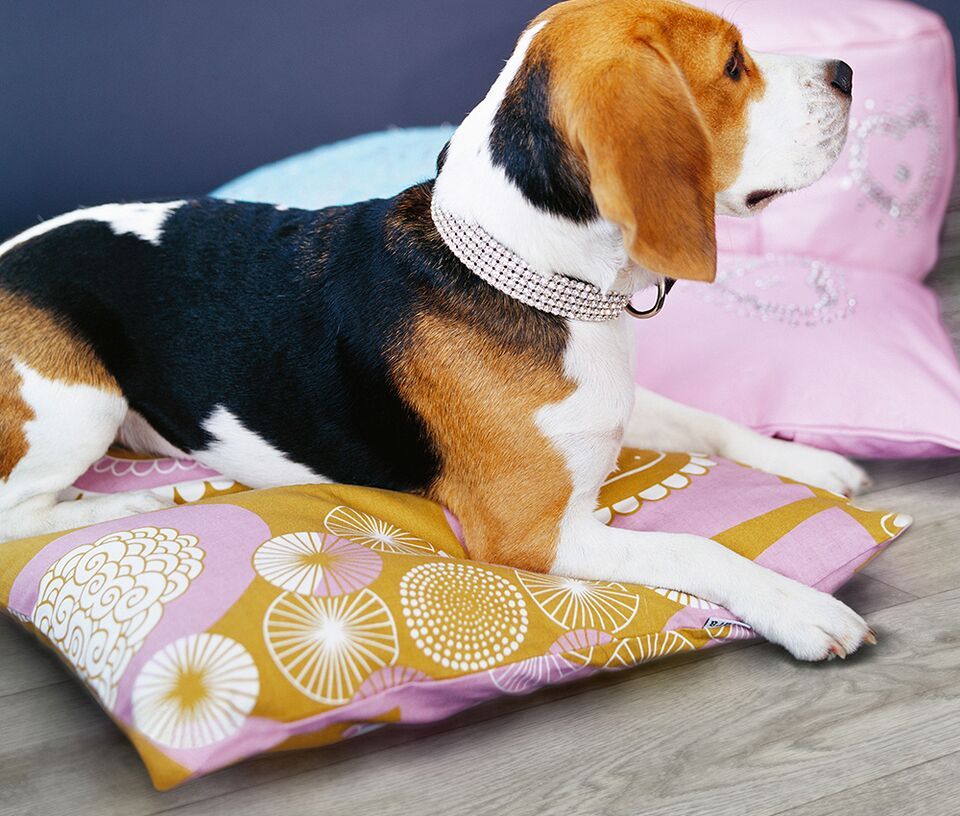 Polyflor Cleaning and caring for your new vinyl flooring 