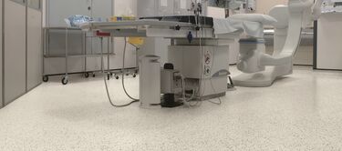 Polyflor Vinyl Flooring 