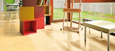 Polyflor Vinyl Flooring 